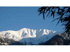 photo coins arrondis